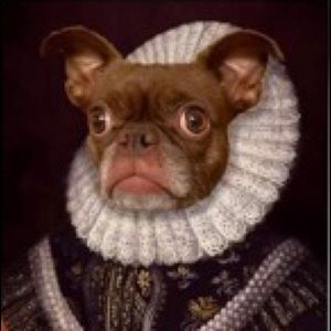 Meet your Posher, Dan